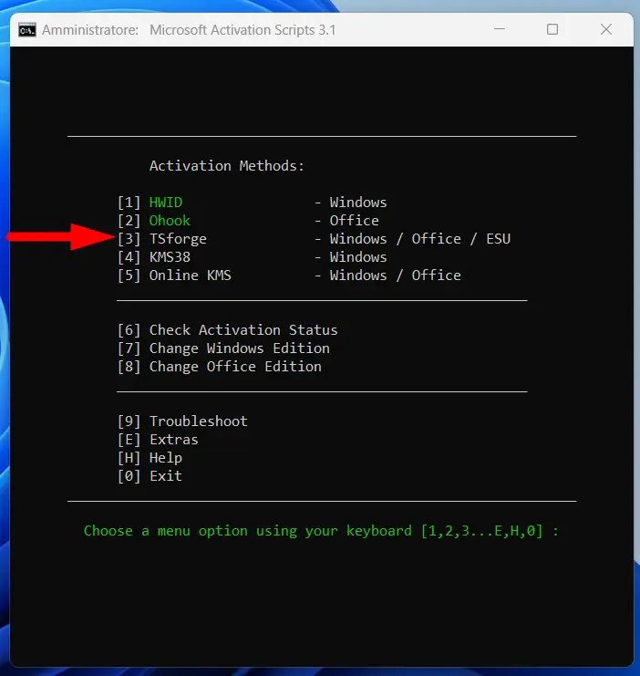 Microsoft Activation Scripts (MAS)