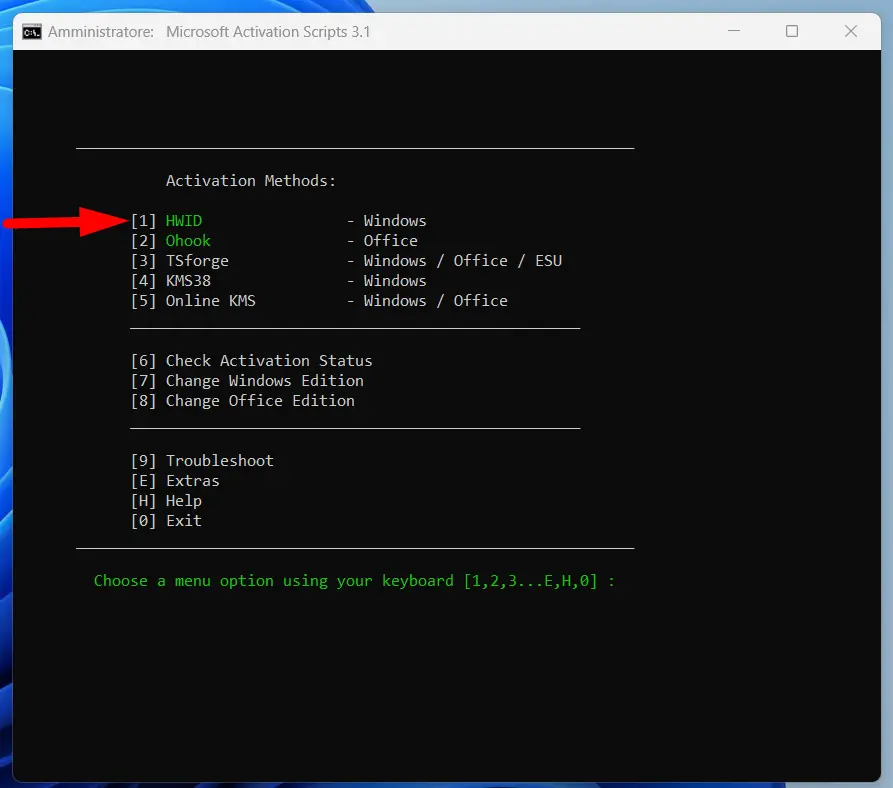 Microsoft Activation Scripts (MAS)